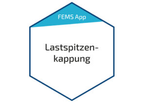 Fenecon FEMS App Lastspitzenkappung