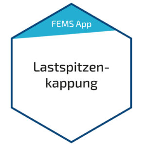 Fenecon FEMS App Lastspitzenkappung