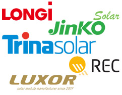 Trina Solar, Luxor, Jinko Solar, LONGi, REC