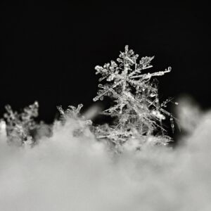 Huawei Sun2000 App, Winter