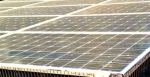 Taubenabwehr Photovoltaik Erfahrungen