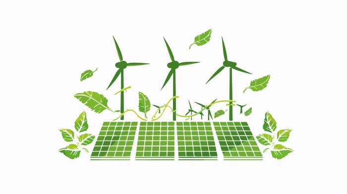 Photovoltaik auf Gründächern Titel
