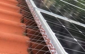 Taubenabwehr Photovoltaik Erfahrungen