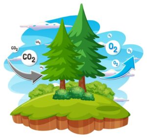 Anker Photovoltaik, Umwelt, CO2