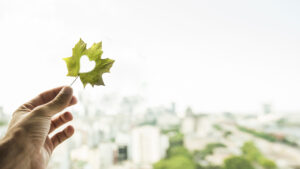 Umweltschutz, Growatt Smart Meter Installation deutsch